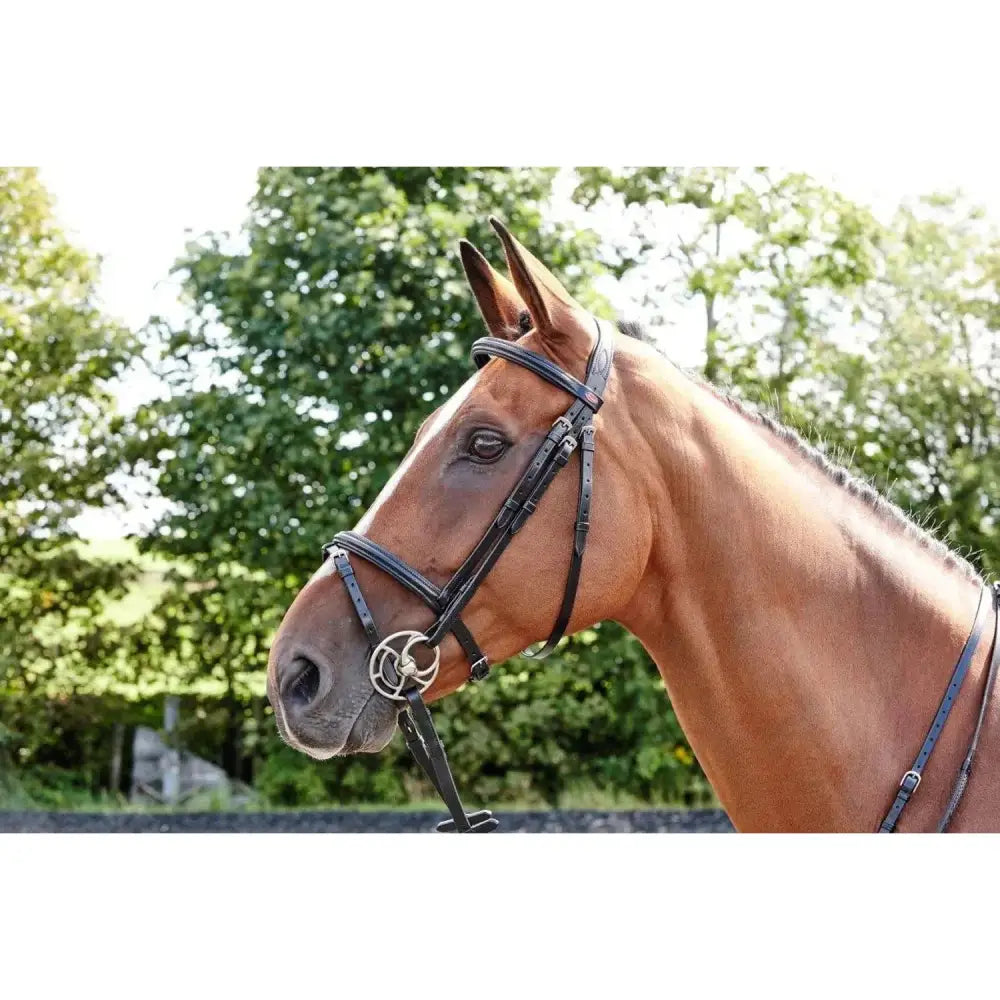 John Whitaker Barton Raised Flash Bridle-Bridles-John Whitaker-Black-Pony-Horsey Shopping