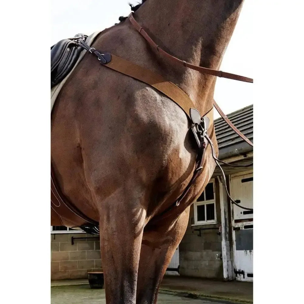 John Whitaker Ready To Ride Elastic Breastplate-Breastplates-John Whitaker-Havana-Pony-Horsey Shopping
