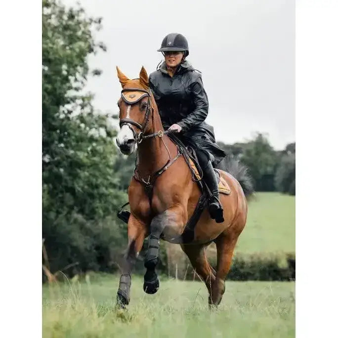 Lemieux All Elements Coat Black-Coats & Jackets-Lemieux-UK 6-Black-Horsey Shopping