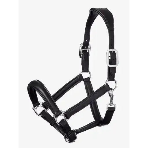 Lemieux Anatomic Headcollar Black-Headcollars-Lemieux-Cob-Black-Horsey Shopping