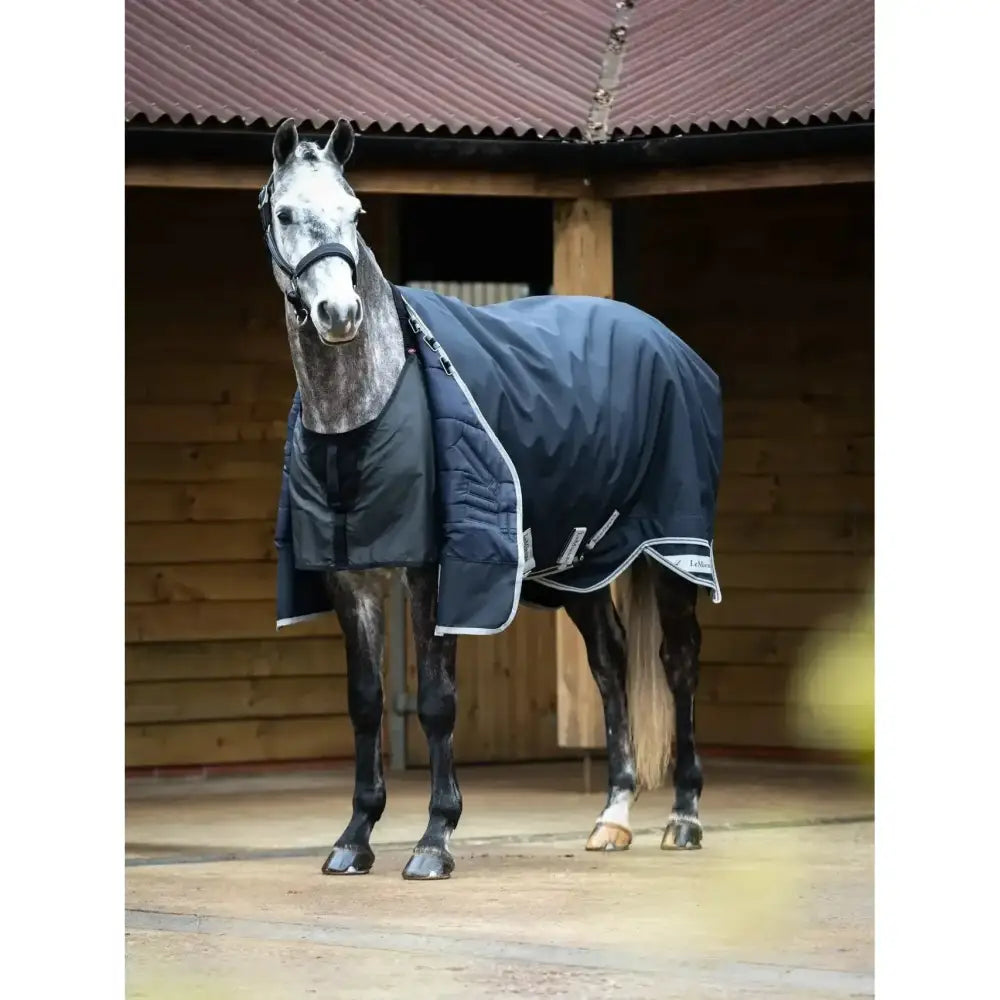 Lemieux Anti Rub Bib Black-Bibs & Neck Covers-Lemieux-XX-Small-Black-Horsey Shopping