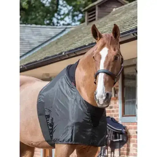 Lemieux Anti Rub Bib Black-Bibs & Neck Covers-Lemieux-XX-Small-Black-Horsey Shopping