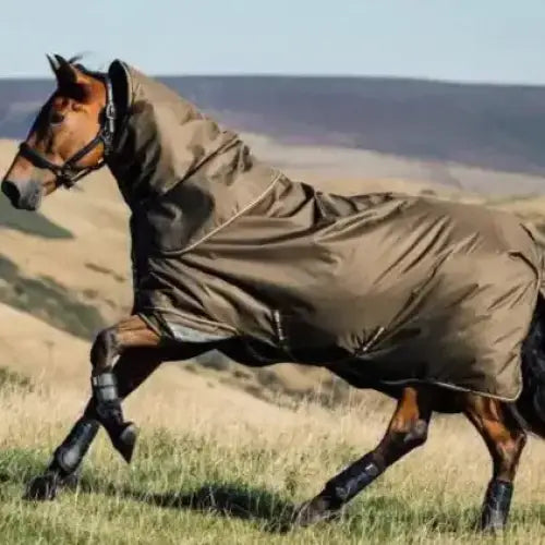 Lemieux Arika 600D Ripstop 0g Turnout Rug Alpine-Turnout Rugs-Lemieux-4'9-Alpine-Horsey Shopping