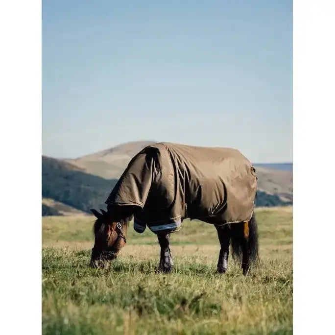 Lemieux Arika 600D Ripstop 0g Turnout Rug Alpine-Turnout Rugs-Lemieux-4'9-Alpine-Horsey Shopping