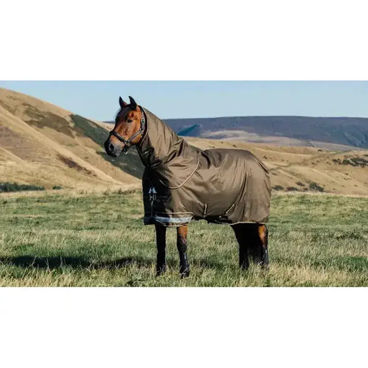 Lemieux Arika 600D Ripstop 100g Turnout Rug Alpine-Turnout Rugs-Lemieux-4'9-Alpine-Horsey Shopping