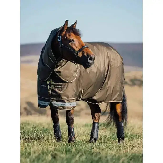Lemieux Arika 600D Ripstop 200g Turnout Rug Alpine-Turnout Rugs-Lemieux-4'9-Alpine-Horsey Shopping