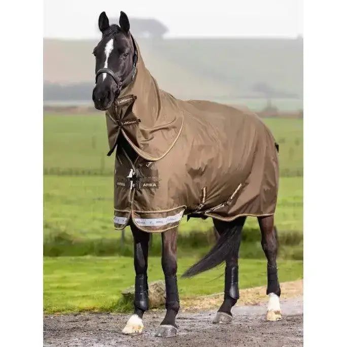 Lemieux Arika 600D Ripstop 200g Turnout Rug Alpine-Turnout Rugs-Lemieux-4'9-Alpine-Horsey Shopping