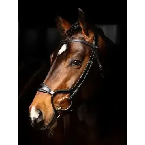 Lemieux Arika Adjustable Anatomic Noseband Bridle Black/Silver-Bridles-Lemieux-Pony-Black/Silver-Horsey Shopping