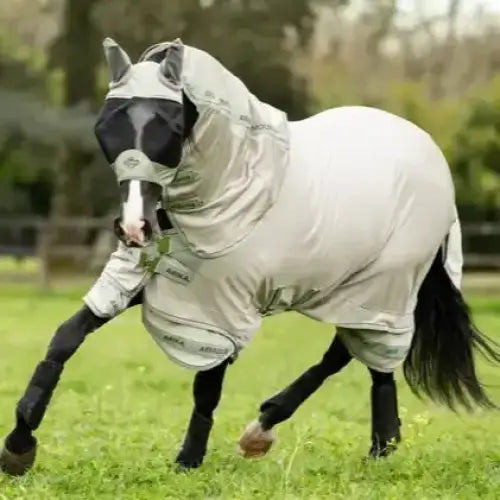 Lemieux Arika Armour-Tek Fly Rug Stone / Fern-Fly Rugs-Lemieux-5'6"-Horsey Shopping