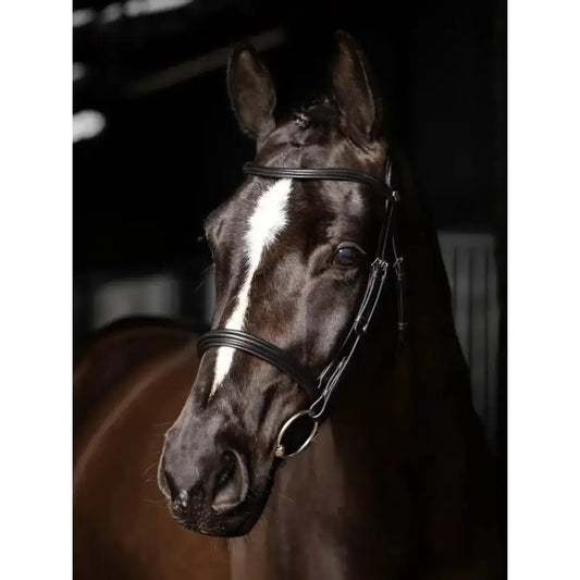 Lemieux Arika Cavesson Bridle Black/Silver-Cavesson Bridle-Lemieux-Pony-Black/Silver-Horsey Shopping