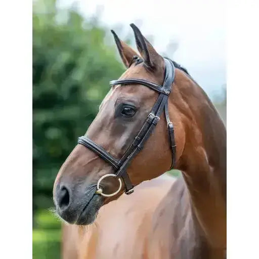 Lemieux Arika Cavesson Bridle Brown/Silver-Cavesson Bridle-Lemieux-Pony-Brown/Silver-Horsey Shopping