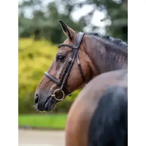 Lemieux Arika Cavesson Bridle Brown/Silver-Cavesson Bridle-Lemieux-Pony-Brown/Silver-Horsey Shopping