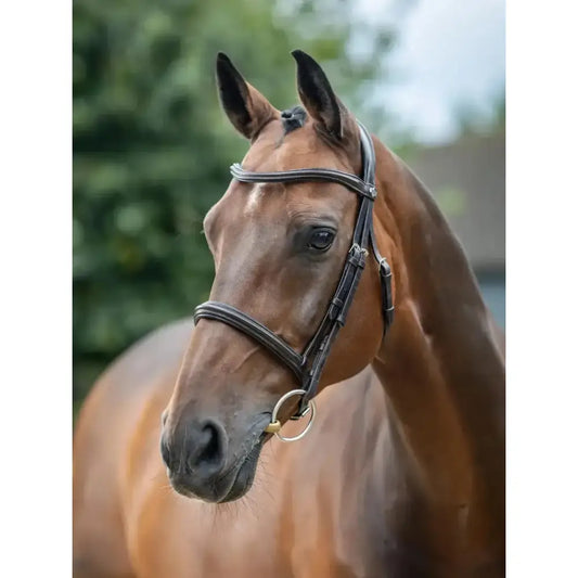 Lemieux Arika Cavesson Bridle Brown/Silver-Cavesson Bridle-Lemieux-Pony-Brown/Silver-Horsey Shopping