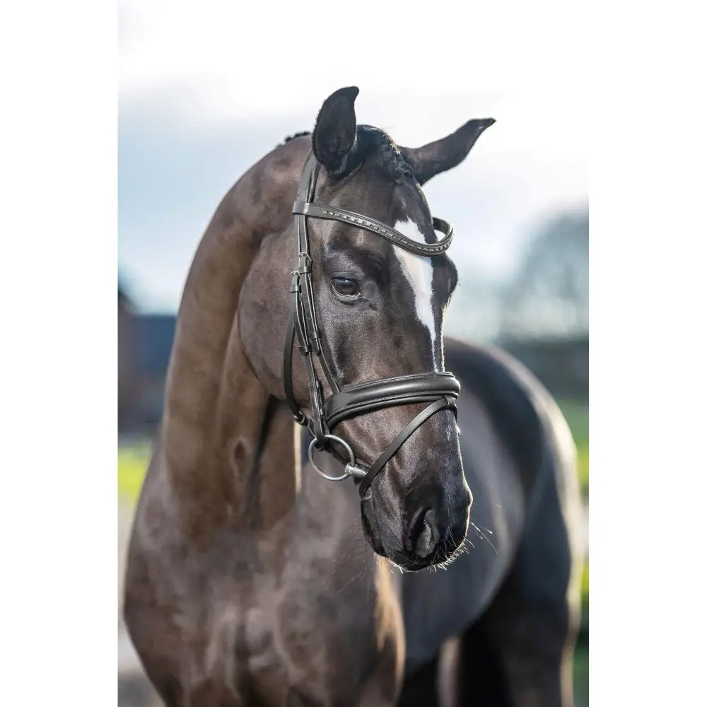 Lemieux Arika Dressage Bridle Black/Silver-Flash Bridles-Lemieux-Pony-Black/Silver-Horsey Shopping