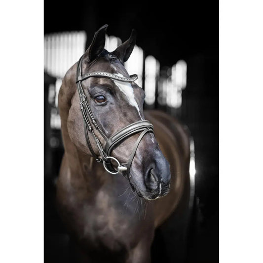 Lemieux Arika Dressage Bridle Black/Silver-Flash Bridles-Lemieux-Pony-Black/Silver-Horsey Shopping