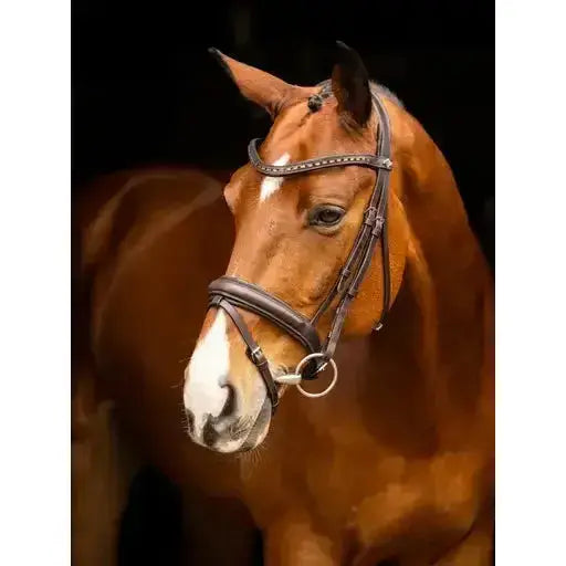 Lemieux Arika Dressage Bridle Brown/Silver-Flash Bridles-Lemieux-Pony-Brown/Silver-Horsey Shopping