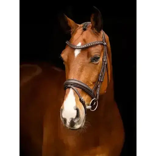 Lemieux Arika Dressage Bridle Brown/Silver-Flash Bridles-Lemieux-Pony-Brown/Silver-Horsey Shopping