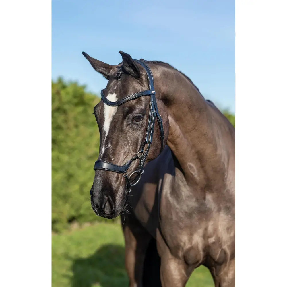 Lemieux Arika Drop Bridle Black/Silver-Drop Noseband Bridles-Lemieux-Pony-Black/Silver-Horsey Shopping