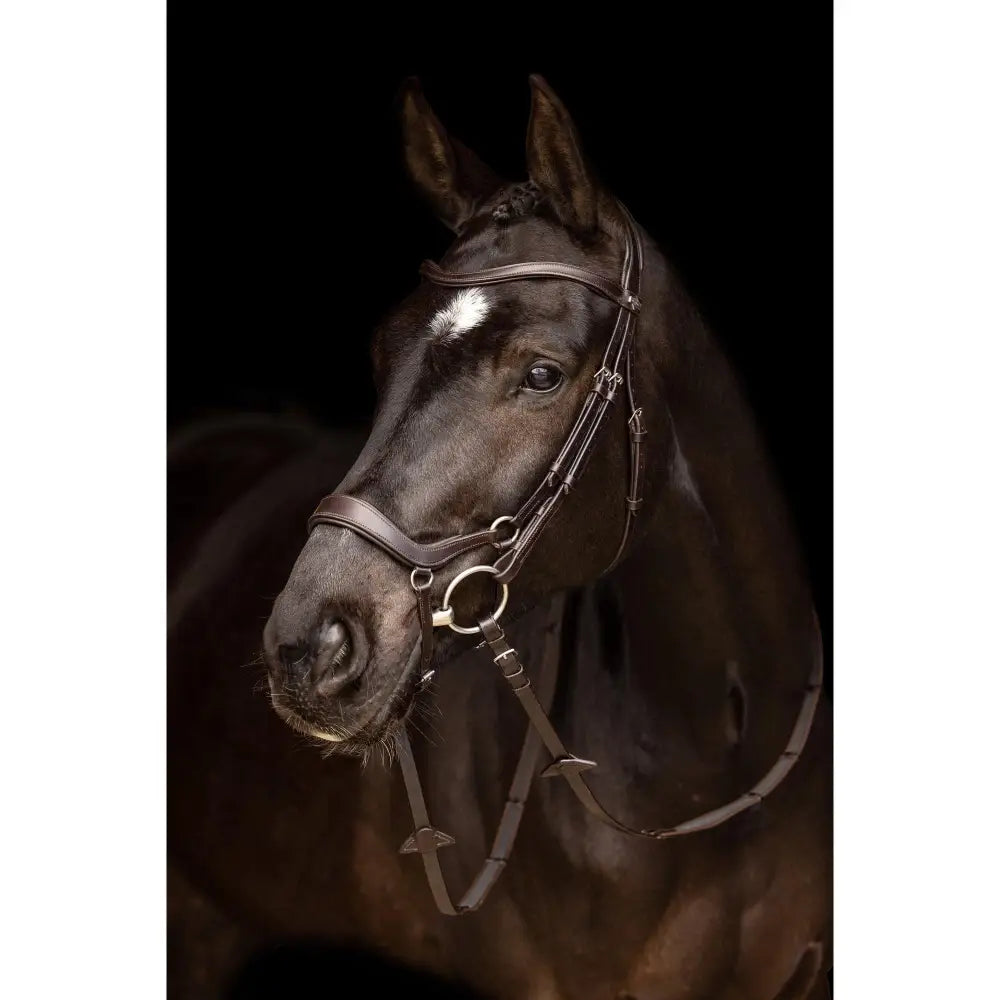 Lemieux Arika Drop Bridle Brown/Silver-Drop Noseband Bridles-Lemieux-Pony-Brown/Silver-Horsey Shopping