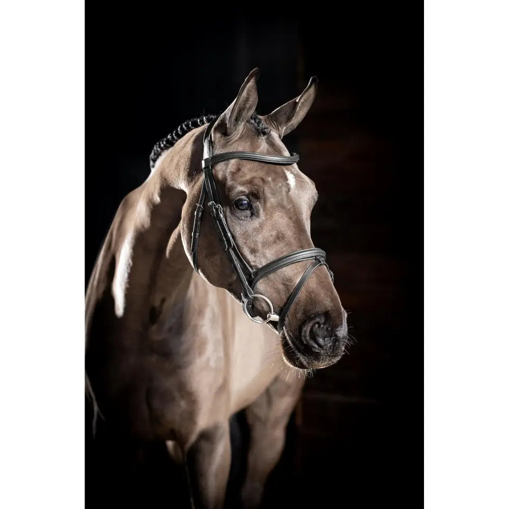 Lemieux Arika Flash Bridle Black/Silver-Flash Bridles-Lemieux-Pony-Black/Silver-Horsey Shopping