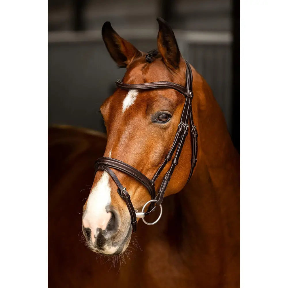Lemieux Arika Flash Bridle Brown/Silver-Flash Bridles-Lemieux-Pony-Brown/Silver-Horsey Shopping