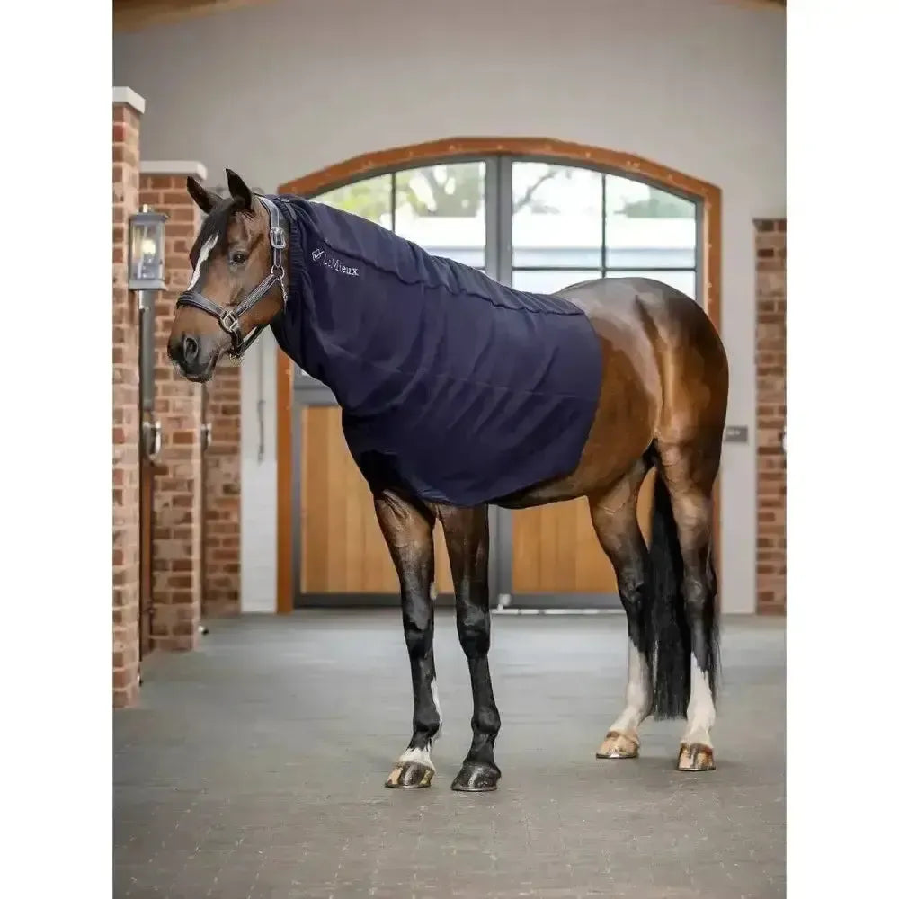 Lemieux Arika Fleece Hood-Fleece Rugs-Lemieux-Navy-Large-Horsey Shopping