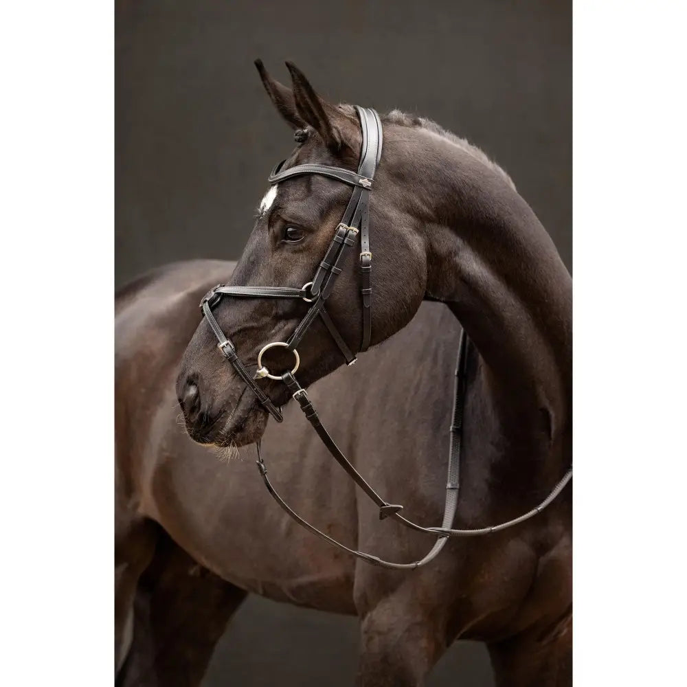 Lemieux Arika Grackle Bridle Black/Silver-Grackle Bridles-Lemieux-Pony-Black/Silver-Horsey Shopping