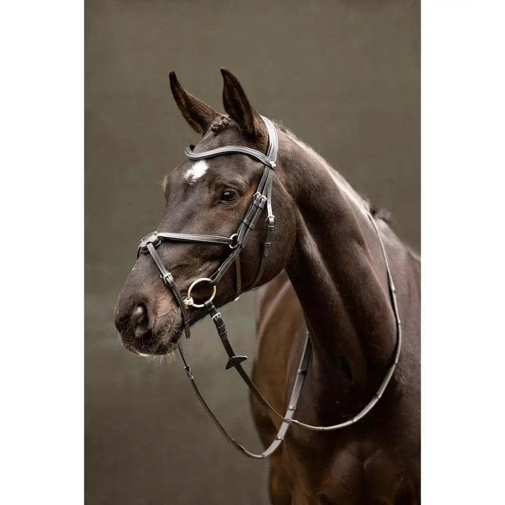 Lemieux Arika Grackle Bridle Black/Silver-Grackle Bridles-Lemieux-Pony-Black/Silver-Horsey Shopping