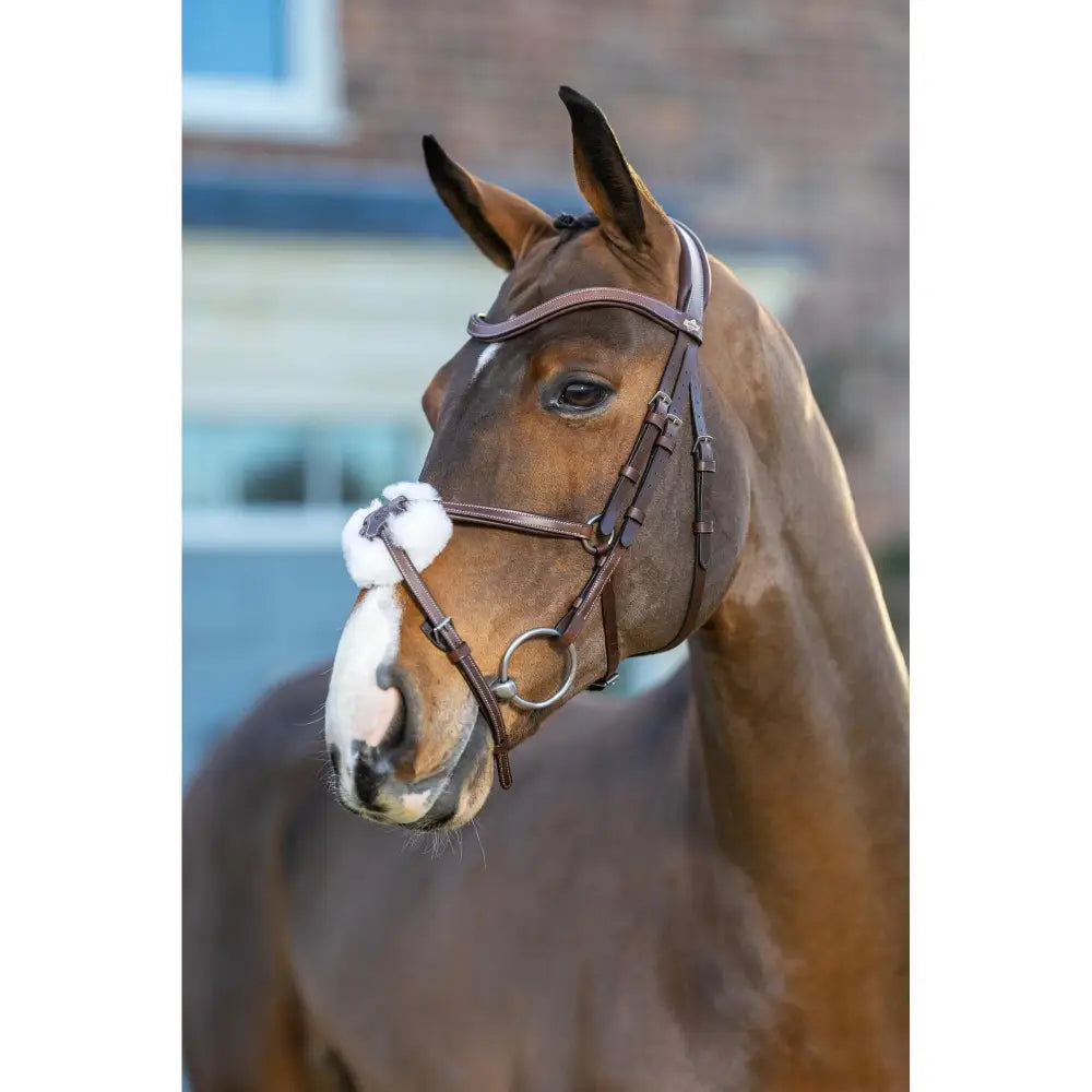 Lemieux Arika Grackle Bridle Havana/Silver-Grackle Bridles-Lemieux-Cob-Havana/Silver-Horsey Shopping