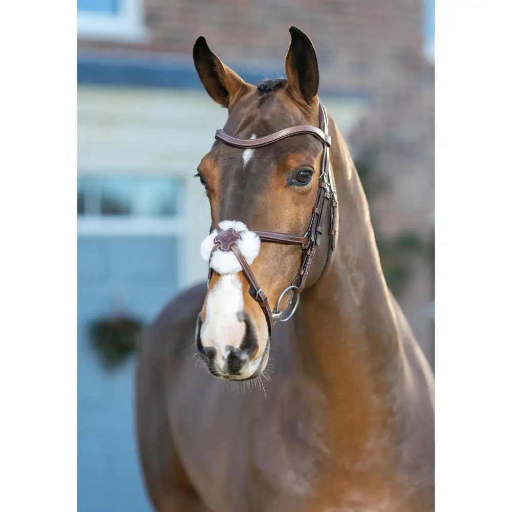 Lemieux Arika Grackle Bridle Havana/Silver-Grackle Bridles-Lemieux-Cob-Havana/Silver-Horsey Shopping