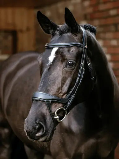 Lemieux Arika Split Noseband Bridle Black-Bridles-Lemieux-Black-Pony-Horsey Shopping