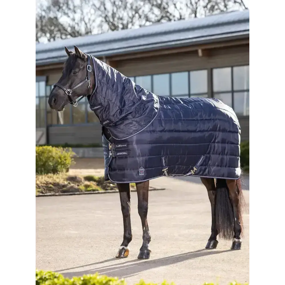 Lemieux Arika Stable-Tek 350g-Stable Rugs-Lemieux-4'9-Navy-Horsey Shopping