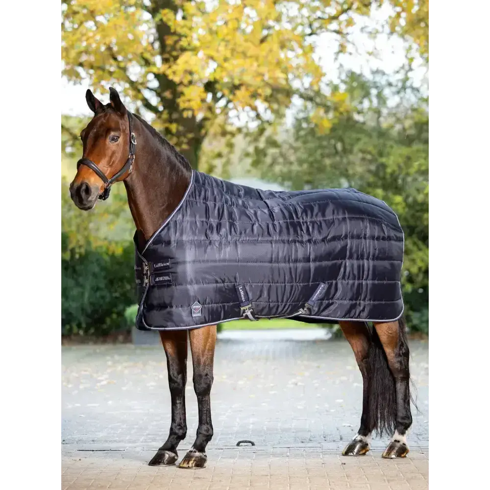 Lemieux Arika Stable-Tek Neck Cover 100g-Stable Rugs Neck Covers-Lemieux-XX-Small-Navy-Horsey Shopping