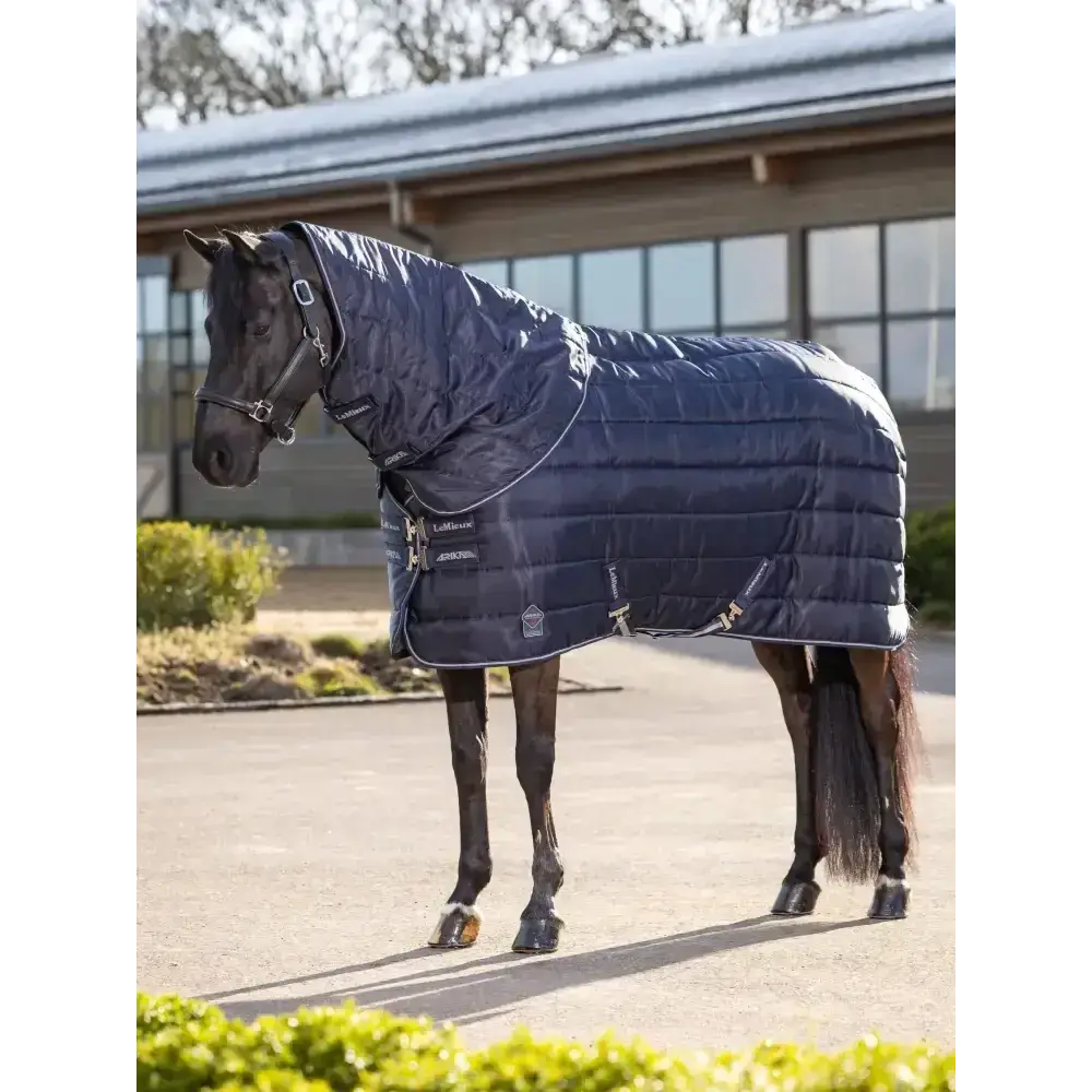 Lemieux Arika Stable-Tek Neck Cover 200g-Stable Rugs Neck Covers-Lemieux-XX-Small-Navy-Horsey Shopping