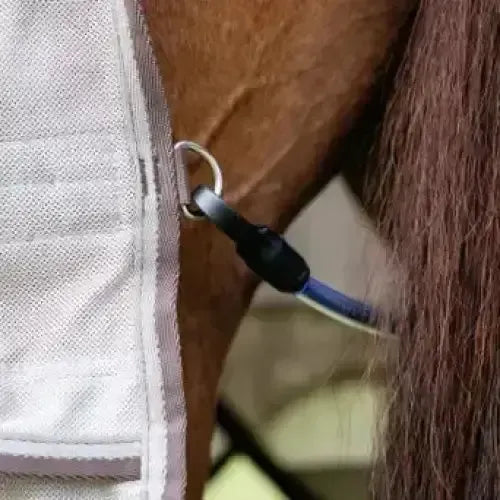 Lemieux Arika Sunstopper Sheet Summer Fly Sheet Stone-Fly Rugs-Lemieux-Stone-4'9"-Horsey Shopping