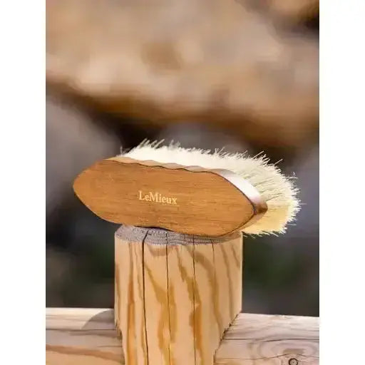Lemieux Artisan Deep Clean Dandy Brush Brown-Dandy Brushes-Lemieux-One Size-Brown-Horsey Shopping