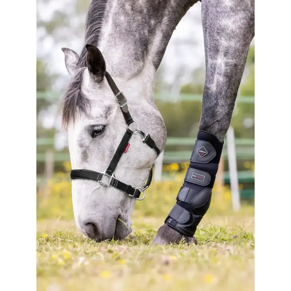 Lemieux Break Away Headcollar-Field Safe Headcollars-Lemieux-Pony-Black-Horsey Shopping