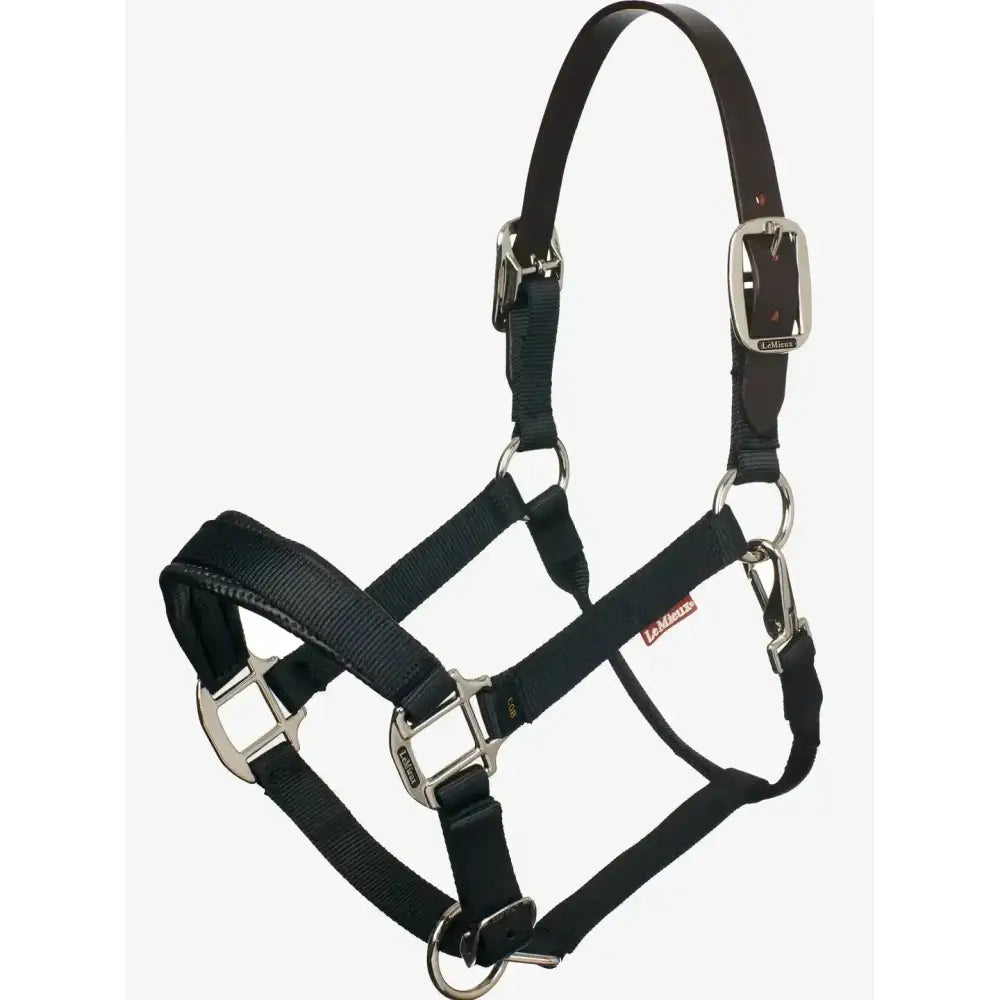 Lemieux Break Away Headcollar-Field Safe Headcollars-Lemieux-Pony-Black-Horsey Shopping
