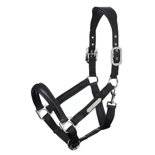 Lemieux Capella Headcollar Black-Headcollars-Lemieux-Black-Pony-Horsey Shopping