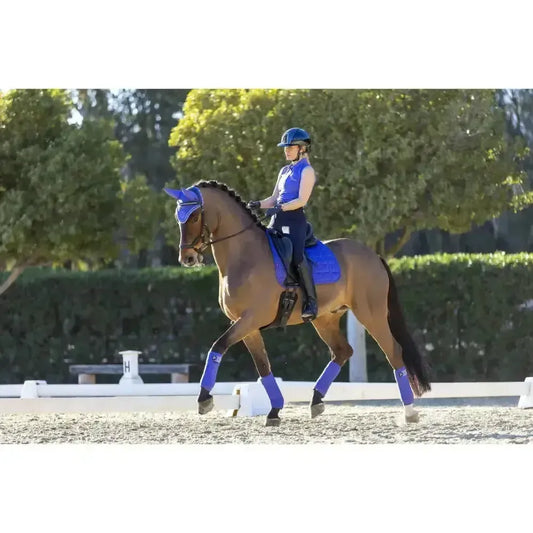 Lemieux Carbon Mesh Dressage Square Bluebell-Dressage Saddle Pads-Lemieux-Bluebell-Large-Horsey Shopping