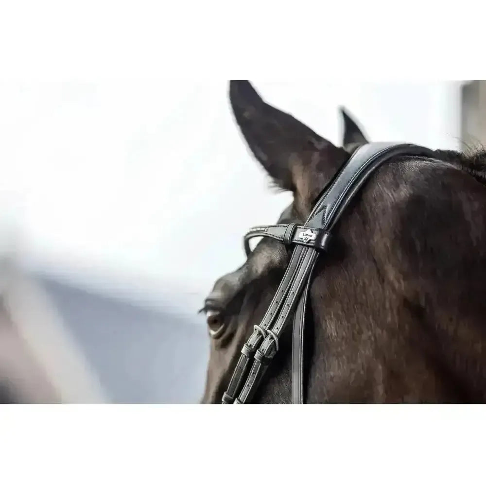 Lemieux Classic Browband-Browbands-Lemieux-Brown Leather Twilight-X-Full-Horsey Shopping