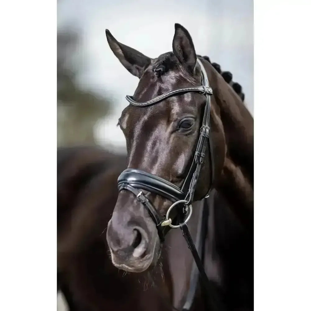 Lemieux Classic Browband-Browbands-Lemieux-Brown Leather Twilight-X-Full-Horsey Shopping