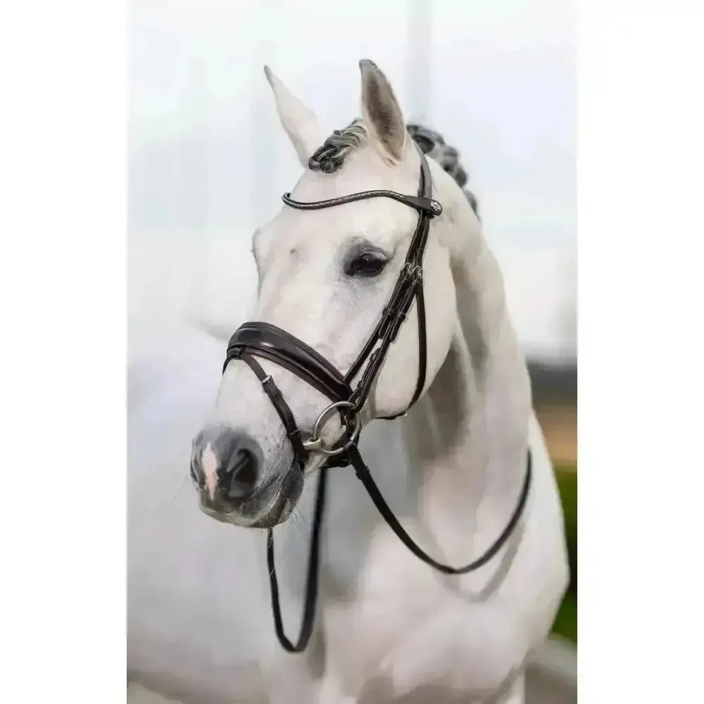 Lemieux Classic Dressage Bridle-Bridles-Lemieux-Brown-Cob-Horsey Shopping