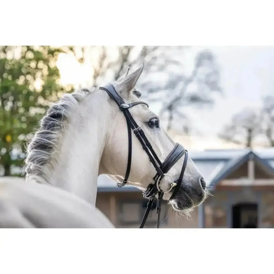 Lemieux Classic Dressage Bridle-Bridles-Lemieux-Black-Cob-Horsey Shopping