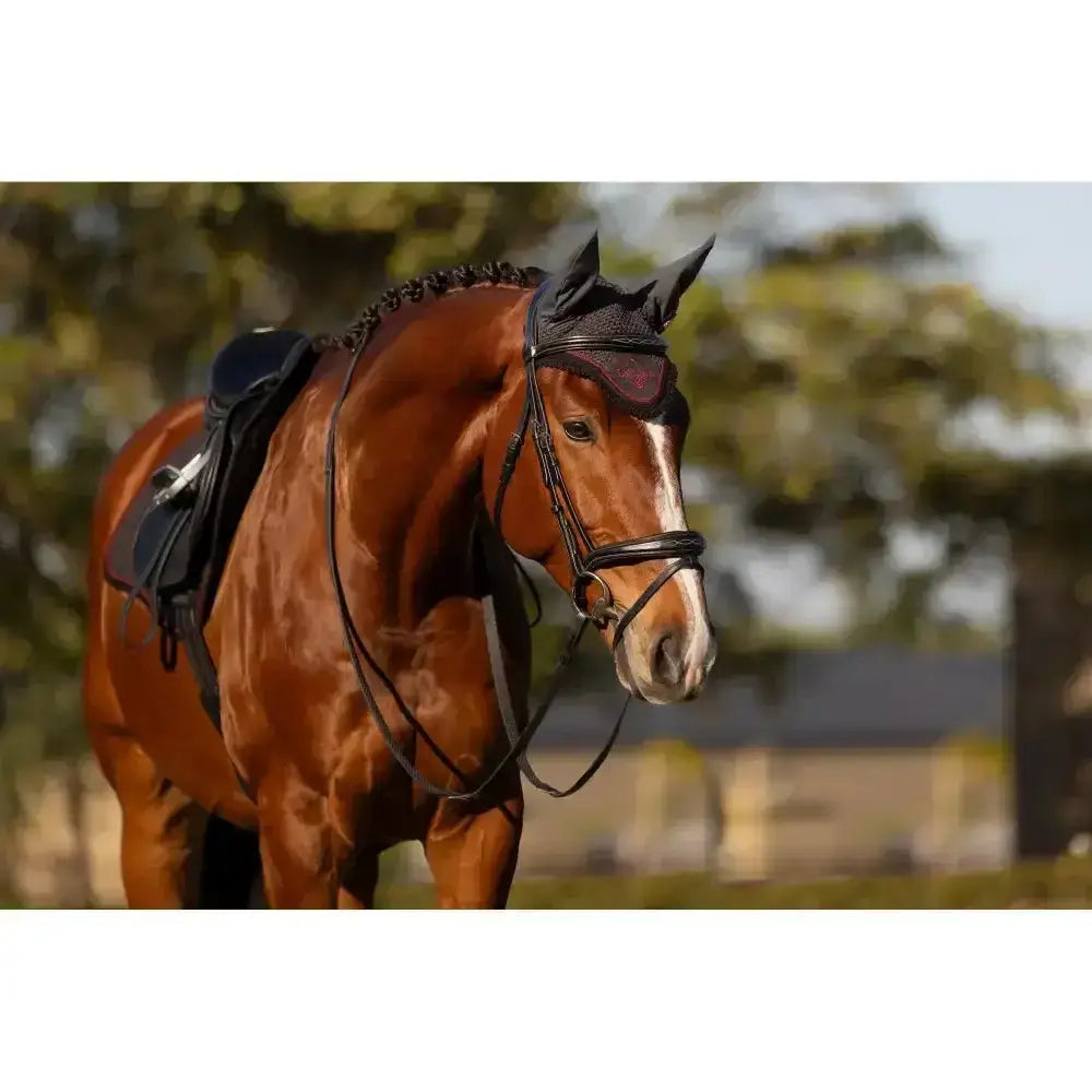 Lemieux Classic Fly Hood Cinder-Horse Ear Bonnets-Lemieux-Small-Cinder-Horsey Shopping