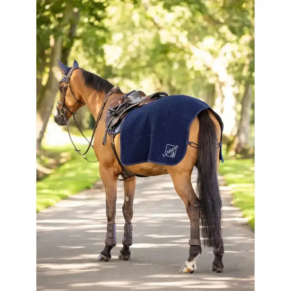 Lemieux Clima-Tek Exercise Quarter Sheet Navy-Exercise Sheets-Lemieux-Small-Horsey Shopping
