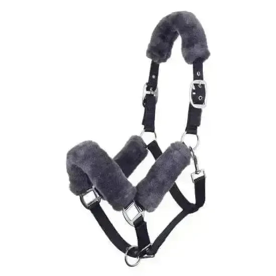 Lemieux Comfort Headcollars-Headcollars-Lemieux-Navy / Navy-Pony-Horsey Shopping