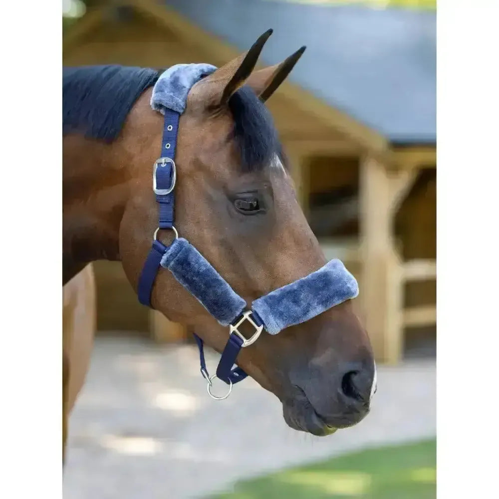 Lemieux Comfort Headcollars-Headcollars-Lemieux-Navy / Navy-Pony-Horsey Shopping