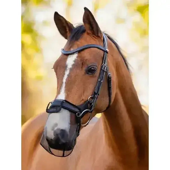Lemieux Comfort Shield Drop Nose Filter 2pk Black-Nose Covers-Lemieux-Small-Black-Horsey Shopping