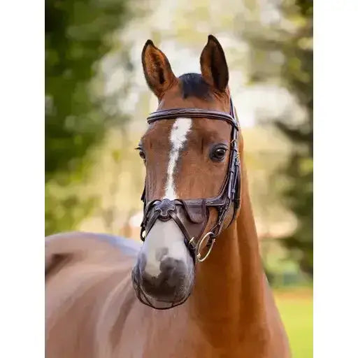 Lemieux Comfort Shield Grackle Nose Filter 2pk Brown-Nose Covers-Lemieux-Small-Brown-Horsey Shopping